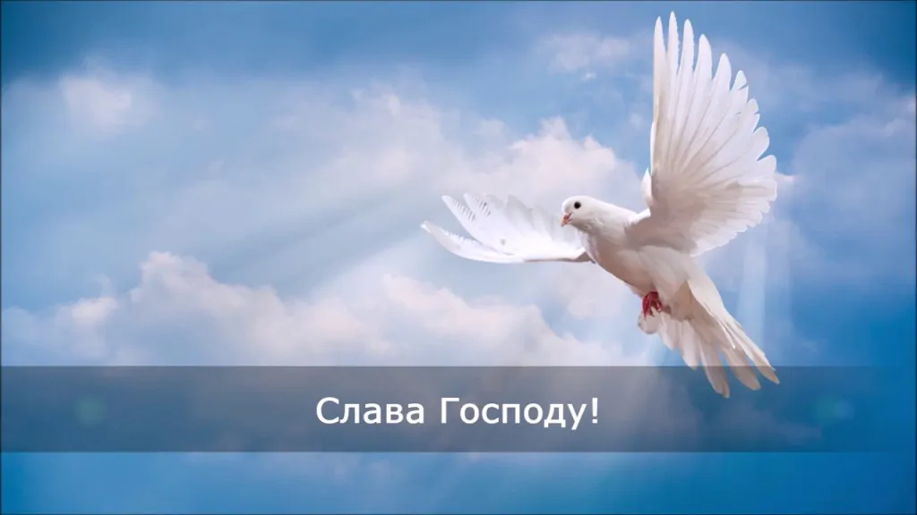 Слава только Богу